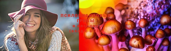 спиды Алексеевка