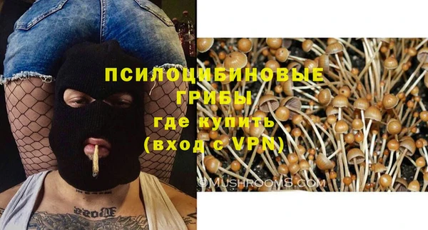 спайс Алзамай