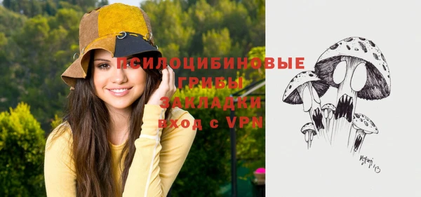 спайс Алзамай